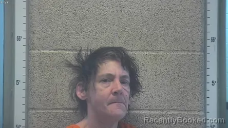 Mugshot of DENISE LAVALLIE