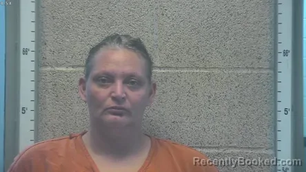 Mugshot of AMY HUDNALL