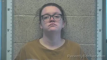 Mugshot of BREEAN M HICKS