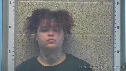 Mugshot of ALYSSA BROOKELLE STOTT