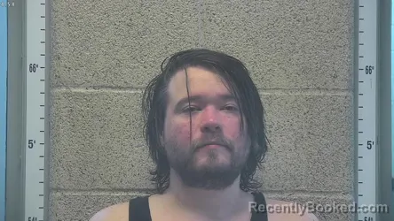 Mugshot of BRANDON S OWENS