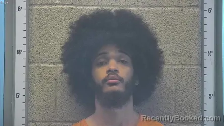 Mugshot of NAAMAN DEWITT WOOLENS