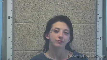 Mugshot of BROOKLYNN D PRIEST
