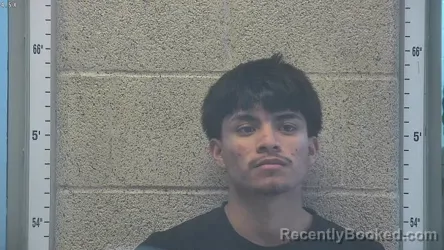 Mugshot of ELISEO RAMOS MEJIA