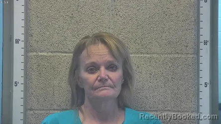 Mugshot of LISA A JAMES