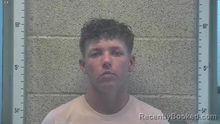 Mugshot of HANNAH TURNER