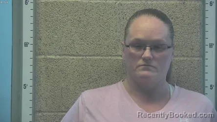 Mugshot of ERICA ERVIN