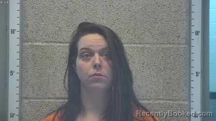 Mugshot of HALEY SPEARS