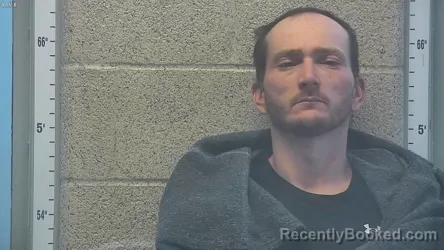 Mugshot of ANDREW K WISEMAN