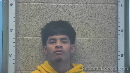 Mugshot of HELKENA LANGINBELIK booked in Henderson County, Kentucky on April 3, 2026