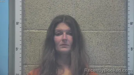 Mugshot of AMBER LEE SPRINGSTON booked in Henderson County, Kentucky on April 25, 2026