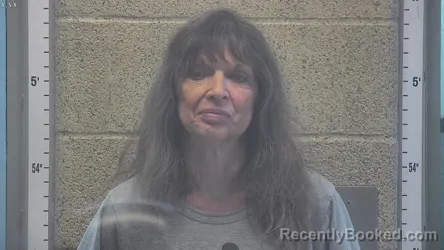 Mugshot of ANNETTE DONAHUE booked in Henderson County, Kentucky on April 27, 2026