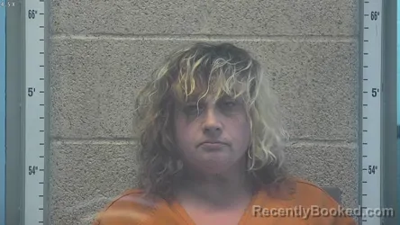 Mugshot of AMY LYNN KIRBY booked in Henderson County, Kentucky on April 27, 2026