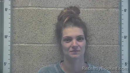 Mugshot of HOLLY N DAVIS booked in Henderson County, Kentucky on May 8, 2026