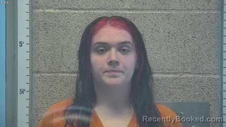 Mugshot of ALLIE SKAGGS booked in Henderson County, Kentucky on May 11, 2026