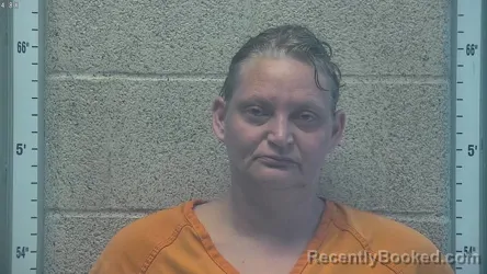 Mugshot of AMY HUDNALL booked in Henderson County, Kentucky on June 13, 2026