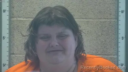 Mugshot of RANDIE RENNAE PIRTLE-HOLMES booked in Henderson County, Kentucky on June 27, 2026