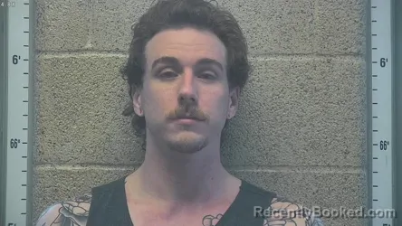 Mugshot of CAMERON SEIB booked in Henderson County, Kentucky on June 28, 2026