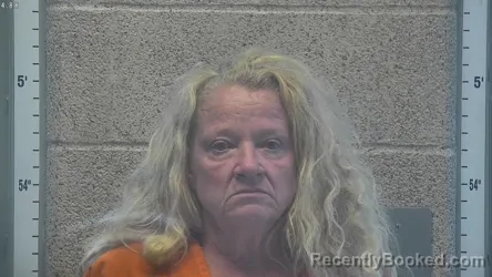 Mugshot of Karin Ann Hobbs-Elliott
