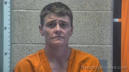Mugshot of CHRISTY L STEPHENS booked in Henderson County, Kentucky on July 14, 2026