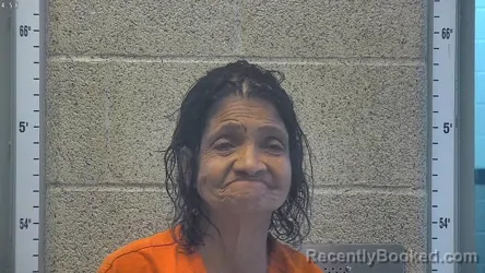 Mugshot of JACQUELINE MARIE CRAIG booked in Henderson County, Kentucky on August 4, 2026