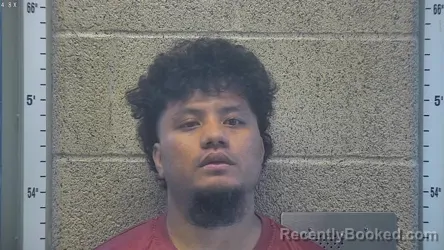Mugshot of Johniton Lomae booked in Henderson County, Kentucky on August 4, 2026