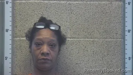 Mugshot of Shaena R Mcclure booked in Henderson County, Kentucky on August 16, 2026