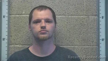 Mugshot of Jacob Wersich booked in Henderson County, Kentucky on August 17, 2026