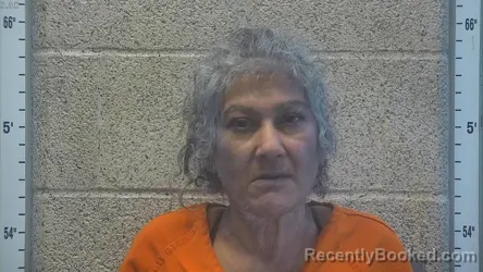 Mugshot of Jyothi Shetty booked in Henderson County, Kentucky on September 16, 2026