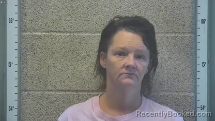 Mugshot of Lisa Ann Cole booked in Henderson County, Kentucky on October 29, 2026