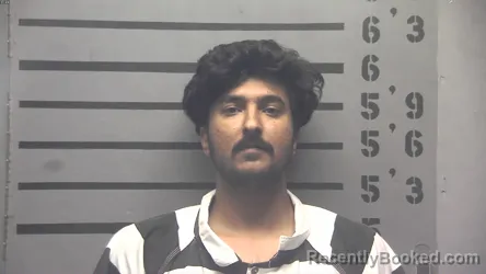 Mugshot of ANKIT ANKIT