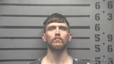 Mugshot of BOU JANGLES ANDERSON