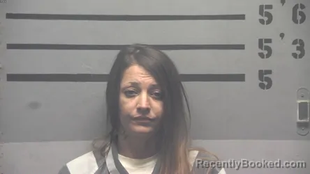 Mugshot of DANIELLE NICOLE ANDREWS booked in Hopkins County, Kentucky on June 25, 2026