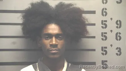 Mugshot of GERSON EMANUEL ARZU-FERNANDEZ