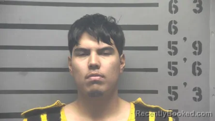 Mugshot of LUIS JAMIE ARELLANO DE LOS SANTOS