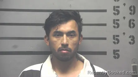 Mugshot of OMAR ABARCA-ESPINOZA