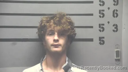 Mugshot of OWEN JAMES ALEXANDER booked in Hopkins County, Kentucky on July 8, 2026