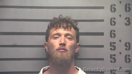 Mugshot of BRANDON LEE BURCHAM