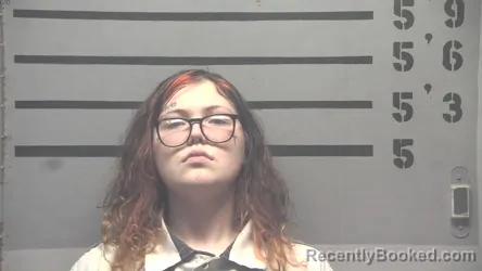 Mugshot of CHEYENNE DAWN BURGE booked in Hopkins County, Kentucky on August 5, 2026