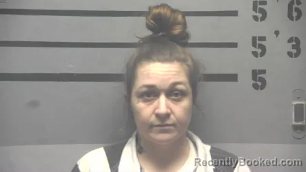 Booking photo from Hopkins County, Kentucky