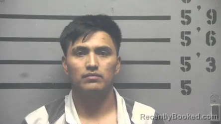 Mugshot of FABIAN CUYO VEGA