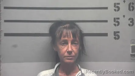 Mugshot of NANCY SUZANNE CLEMENTS booked in Hopkins County, Kentucky on June 22, 2026