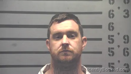 Mugshot of SHEA WESLEY COOK