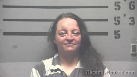 Mugshot of CASSIE ANN DAVIS booked in Hopkins County, Kentucky on June 27, 2026