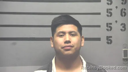 Mugshot of HUGO DIEGO-SEBASTIAN