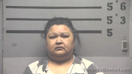 Mugshot of MIRIAM DOMINGUEZ-SAAVEDRA booked in Hopkins County, Kentucky on May 2, 2026