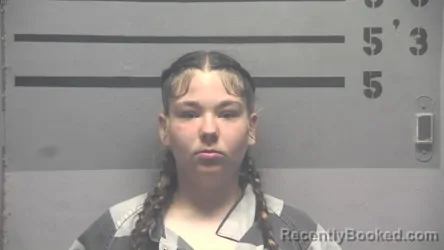 Mugshot of KAYLEE ANN FIELDS booked in Hopkins County, Kentucky on April 20, 2026