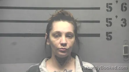 Mugshot of KANDIS MECHELLE FORD