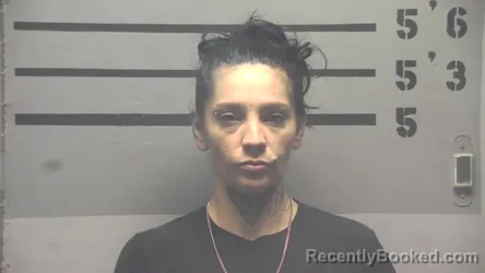 Mugshot of KANDIS MECHELLE FORD booked in Hopkins County, Kentucky on August 5, 2026