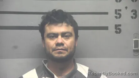 Mugshot of ANGEL GAGO BALTODANO